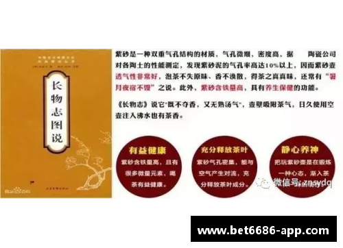 深度剖析七十球员资料：详尽解读背后的故事