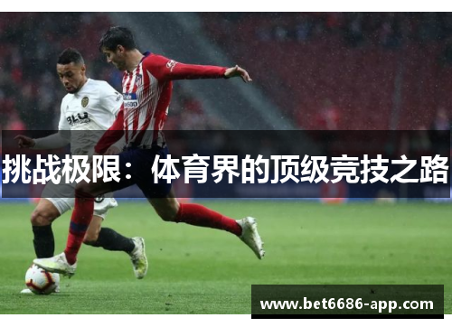 挑战极限：体育界的顶级竞技之路