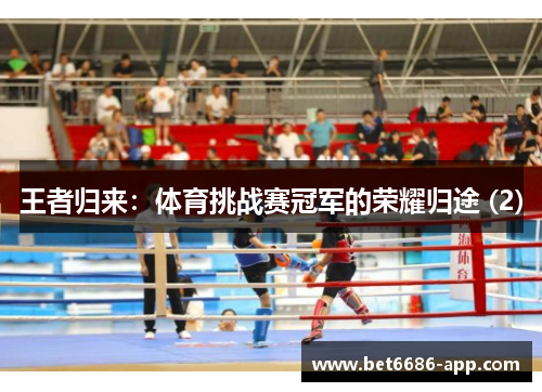 王者归来：体育挑战赛冠军的荣耀归途 (2)
